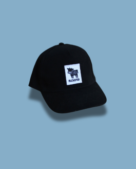 Baseball cap